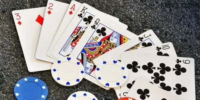 Plataforma 77y - cassino e apostas
